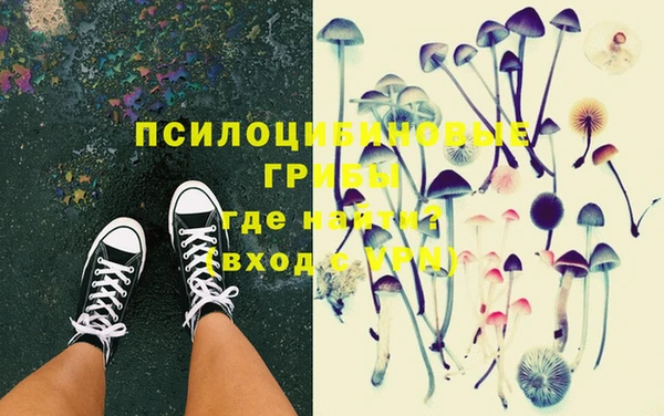 метадон Белокуриха